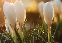 早知道｜曼城攀升至积分榜次席