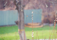 意甲媒体透露：为了尽快恢复伤情，希门尼斯和普利西奇两人均不会得到国家队的征召